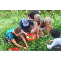 Overnight Rustic Mekong Delta Tour