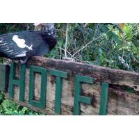 overnight orchid garden eco village lodge from belize city