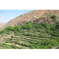 Overnight Hike in the Berber Villages from Marrakech