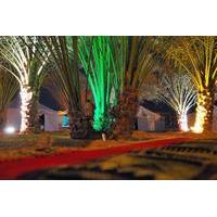 overnight family desert camp experience from abu dhabi including dune  ...