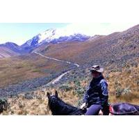 Overnight Camping Including Horse Ride at Cayambe Paramo