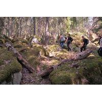 Overnight Hike Outside Stockholm