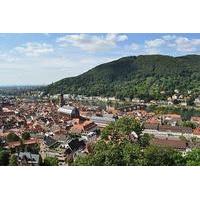 Overnight Heidelberg Experience: Private Tour, Heidelberg Castle and HeidelbergCard