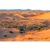 Overnight Tour to Zagora from Marrakech with Camel Trek and Berber Camp
