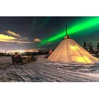 Overnight Stay in Lavvu, Northern Lights and Reindeer Sledding in Tromso