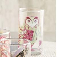 Owl Glass