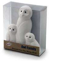 Owl Family Decorate Your Own Money Bank