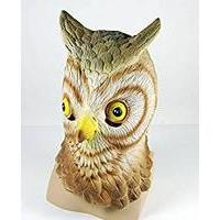Owl Face Mask Realistic Plumage