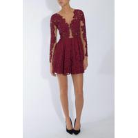 oxblood embellished applique lace skater dress