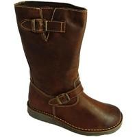 oxygen usk womens low ankle boots in brown