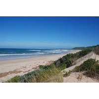Oyster Bay Lodge
