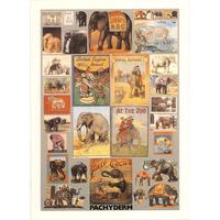 P is for Pachyderm By Peter Blake
