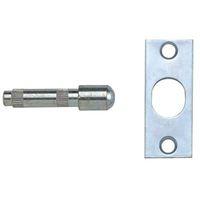 p125 hinge bolts zinc