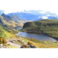 papallacta private tour from quito