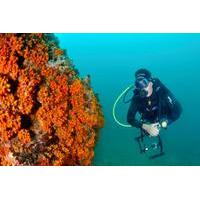 PADI Open Water Diver Course in Boa Vista