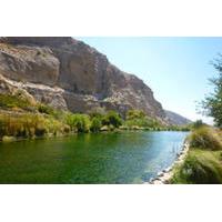 Palm Springs Wildlands Preserve Nature Tour