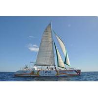 Papagayo Catamaran Cruise with Lunch and Transfers