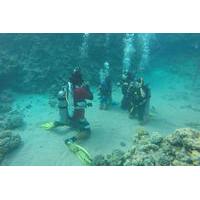 PADI Course: Padi Open Water Div...