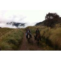 Paramo Day Trip: Horse Riding and Hot Springs