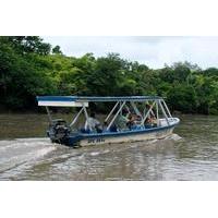 palo verde river tour from tamarindo