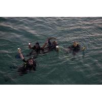 padi night dive specialty in tenerife