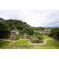 Palenque Archaeological Site Day Trip by Air from Cancun