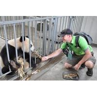 Panda Rescue Center Volunteer for a Day