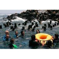 Palomino Islands Tour Plus Swimming with Sea Lions Experience