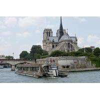 paris city tour by minivan seine river cruise and lunch at the eiffel  ...
