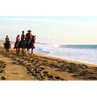 pacific horseback riding tour in cabo san lucas