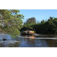 Pantanal Carioca Sightseeing Boat Tour with Optional Lunch