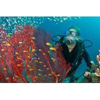 PADI Open Water Scuba Diving Course in Bayahibe