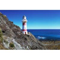 Palliser Bay and Coastal Delights Tour from Wellington