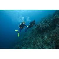 PADI Rescue Diver Course in Tenerife