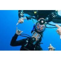 PADI Discover Scuba Diving Program in the Riviera Maya