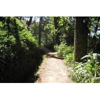 Paradise Valley - Levada Walk