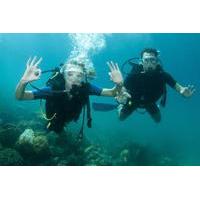 Paraty Scuba Diving Beginner\'s Course