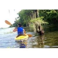Paddle the Swamp - Canoe and Kayak Louisiana Bayou Tour