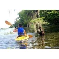 paddle the swamp canoe and kayak louisiana bayou tour