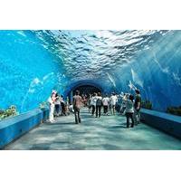 Pattaya Underwater World Admission with Hotel Transfers