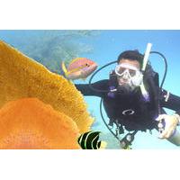 PADI Discover Scuba Diving in Cozumel