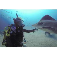 PADI Fish Identification Specialty Course in Tenerife