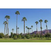 Palm Springs and Outlet Shopping Day Trip from Los Angeles