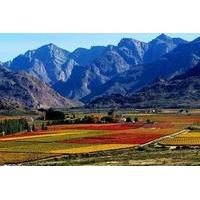 Paarl Valley Wines and Culture Bike Tour from Cape Town
