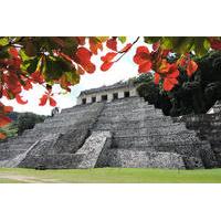Palenque Archaeological Site and Villahermosa Full Day Tour