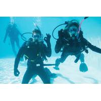 PADI Discover Scuba Diving Program in Puerto Plata