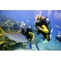 padi discover scuba diving in puerto aventuras