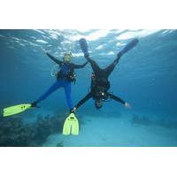 PADI Peak Performance Buoyancy Specialty Scuba Dive in Tenerife