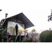 PalhoÃ§a da Colina