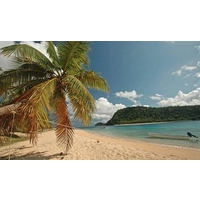 Paradise Cove Resort